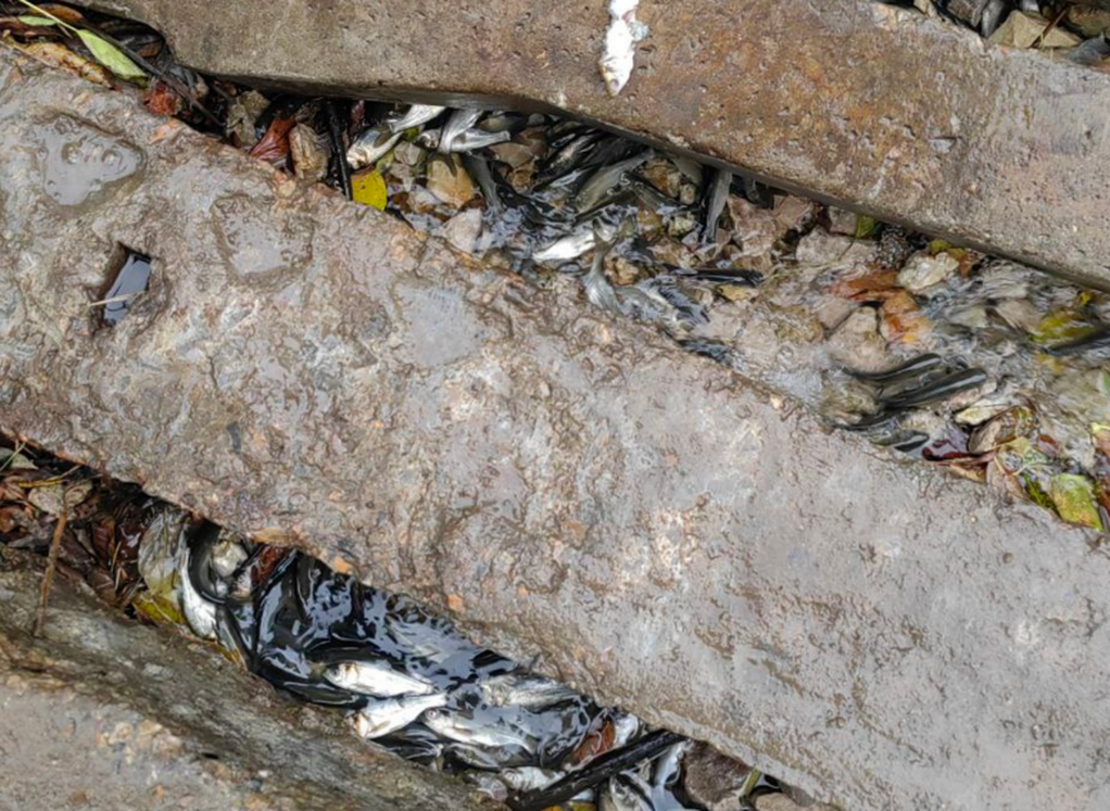 Фото из соцсети