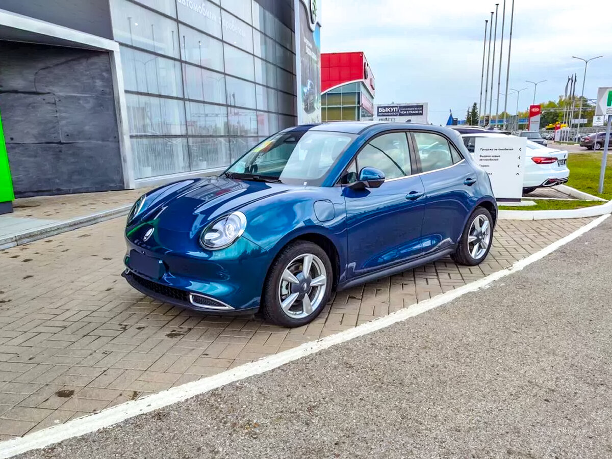 Ora Good Cat (хорошая кошечка в переводе на старославянский) стоит от 2.5 млн рублей, есть варианты и за 3.5 миллиона