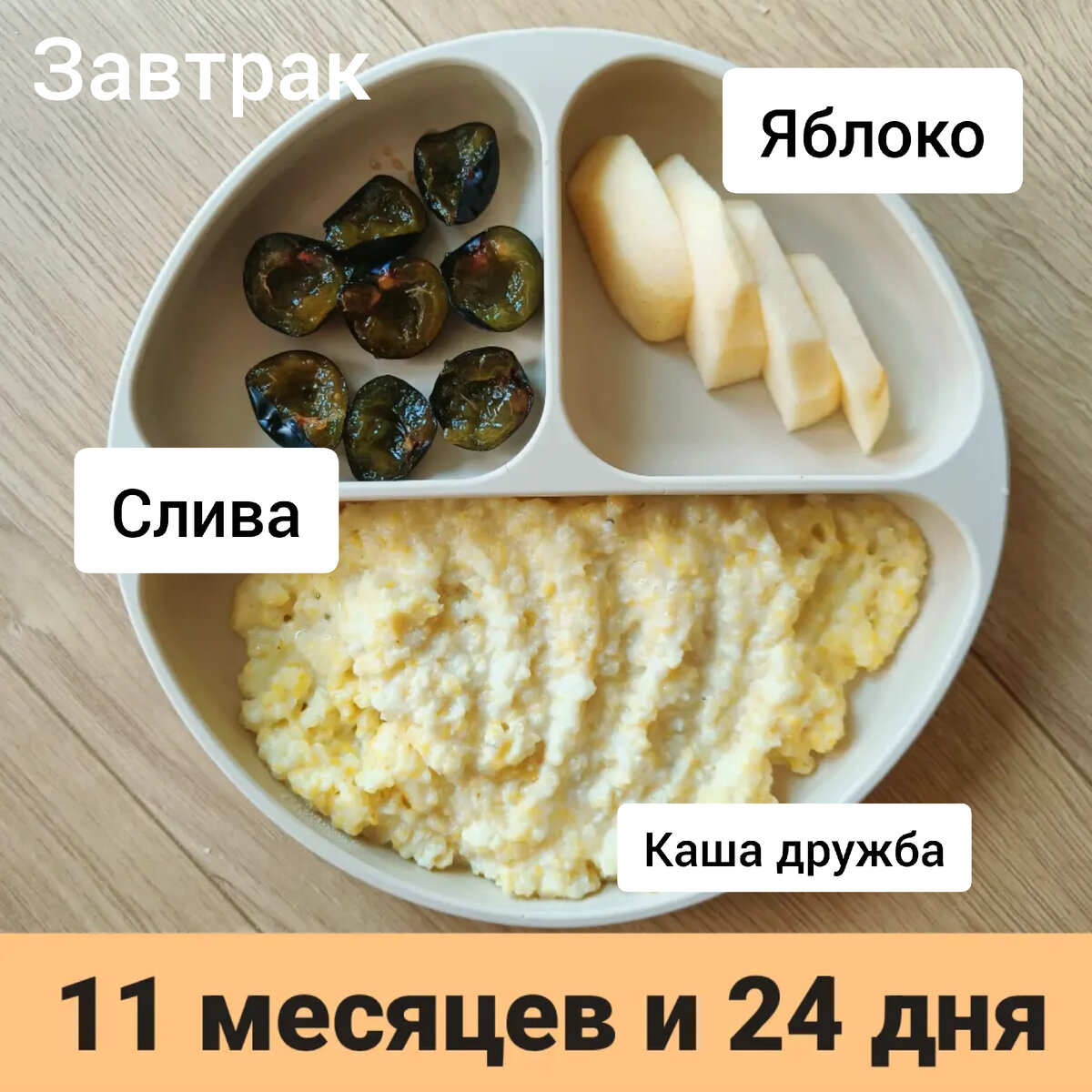 Пример тарелки в 11 месяцев 