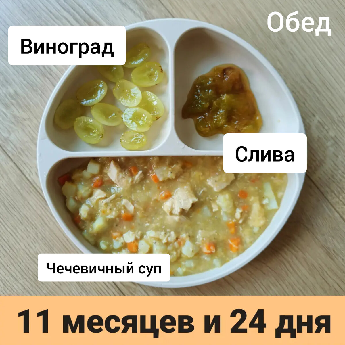 Пример тарелки в 11 месяцев 