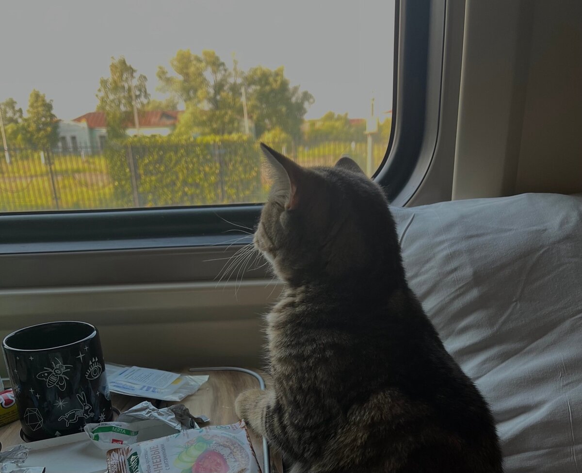 Главный напарник автора :) Лексус-путешественник