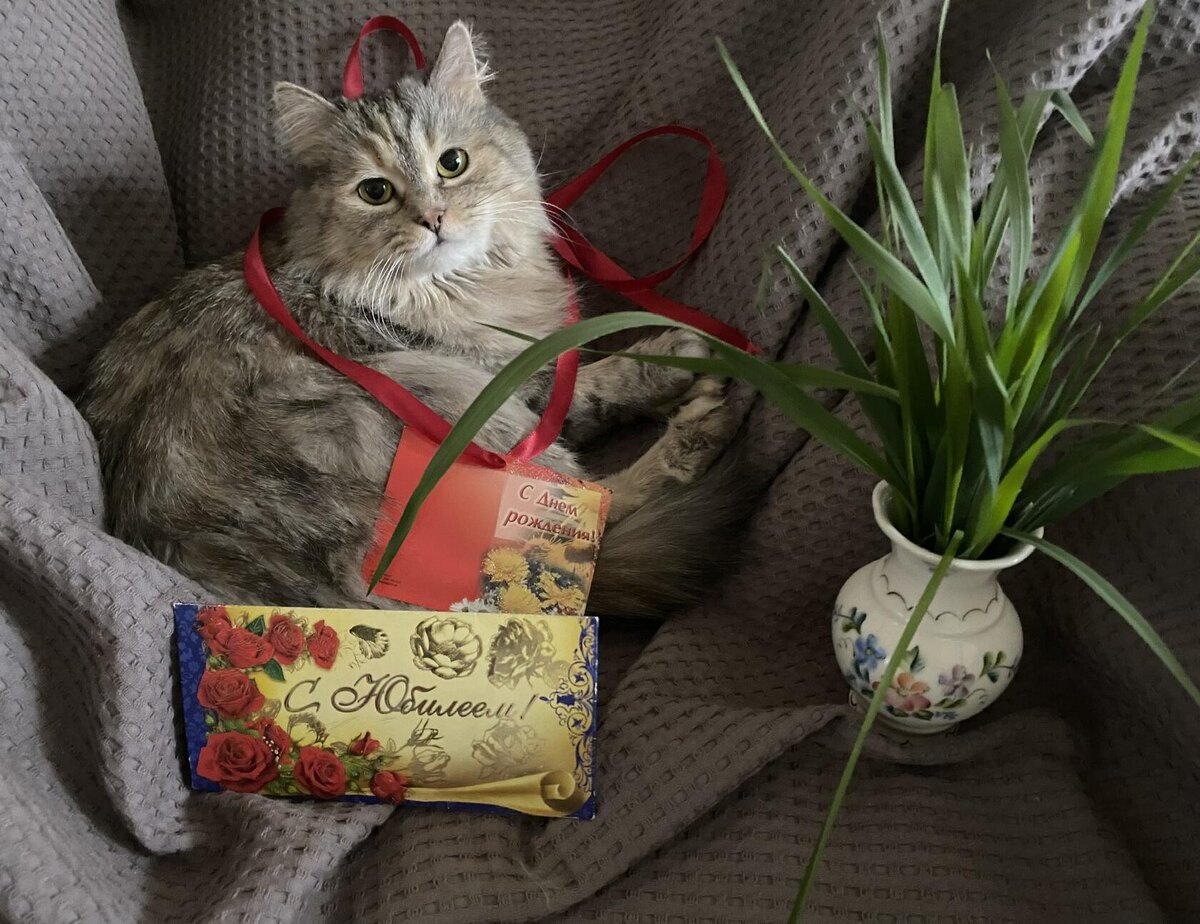 Кися - юбилярша. Фото автора