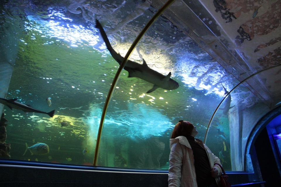 Краснодар – популярное туристическое направление. Но каждый путешественник сталкивается с тем, что не знает, куда отправиться в первую очередь в новом городе.-7