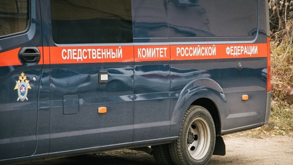     Жительница Москвы «чудом» продолжала рожать даже после того, как ей провели операцию, не позволяющую больше забеременеть. На иждивении у нее находятся 15 детей. Следователи заподозрили ее в покупке «дочерей и сыновей».