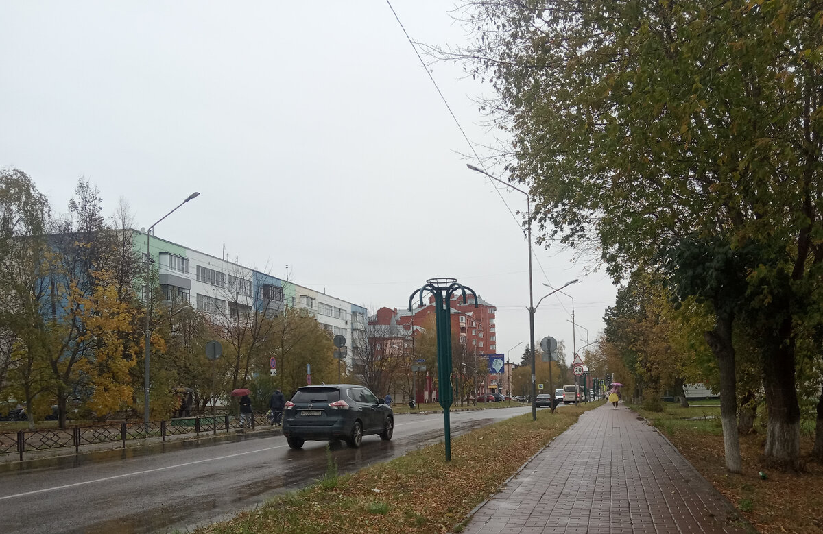 Осень, осень... Денек был дождливый, да(