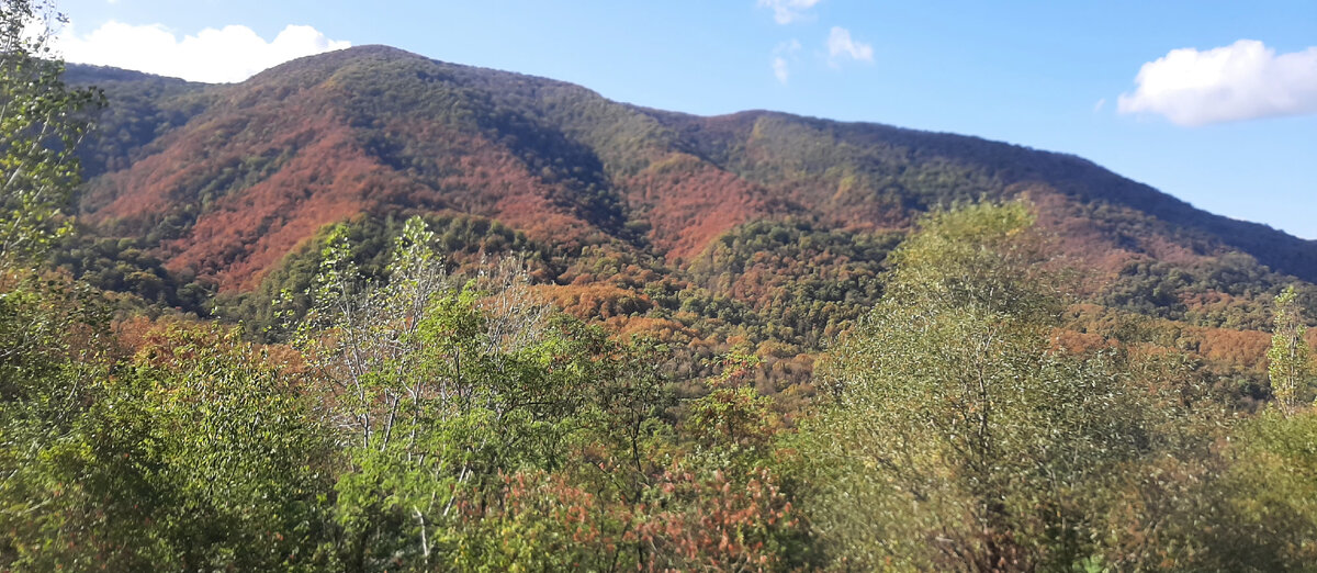 Едем по серпантину. Вид из окна.