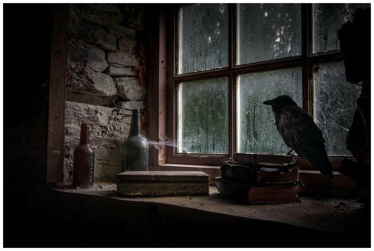 Беспокойный воробей в окне к худу. Фото из интернета 