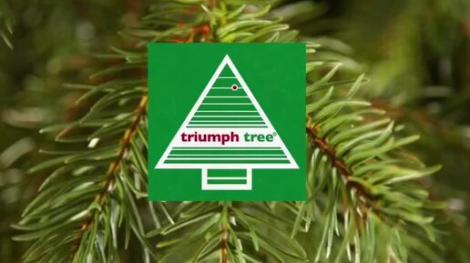 Триумф Норд. Искусственные елки и декор | Наши елочки от Triumph Tree 💚 ...