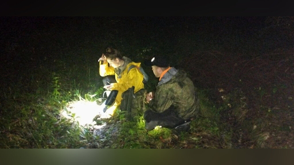 «ЛизаАлерт»