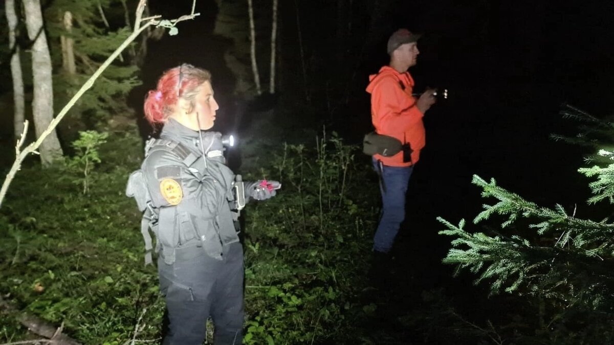 «ЛизаАлерт»