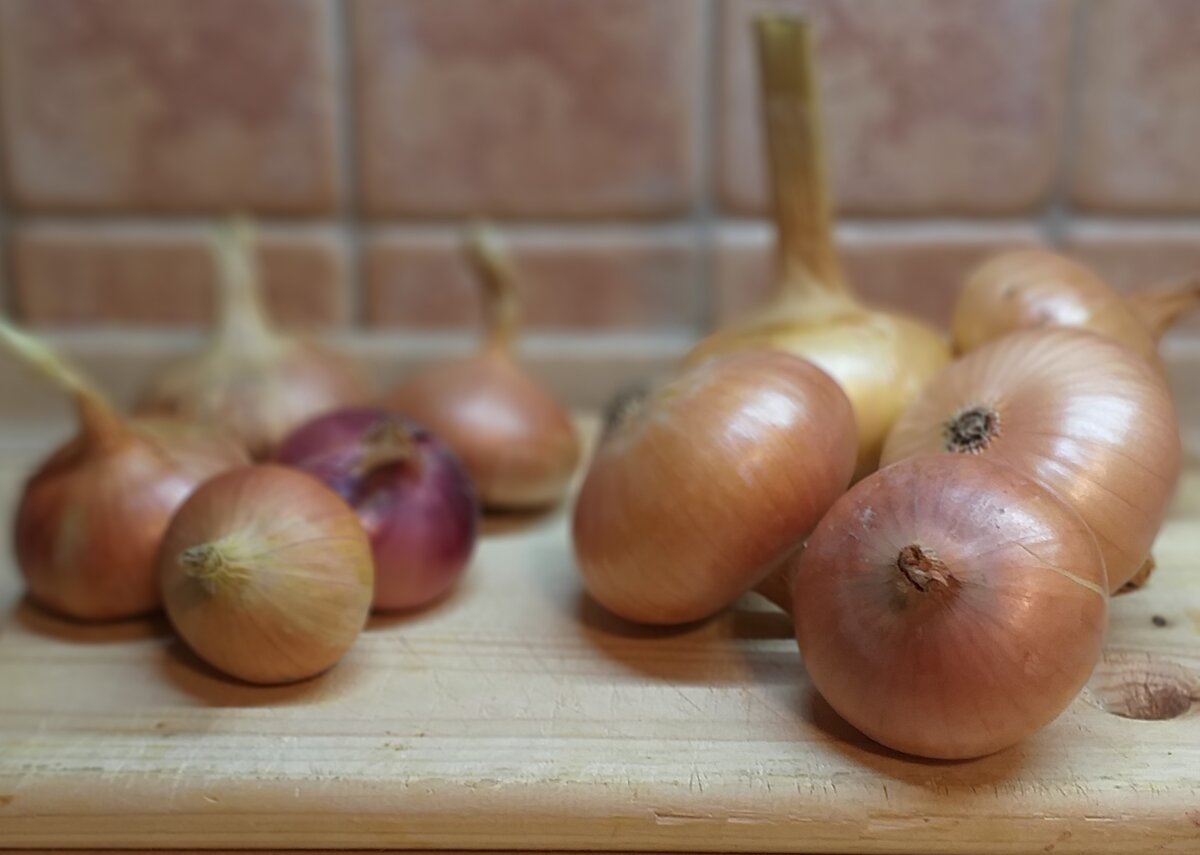 Слева, лук, посаженный весной, справа- под зиму.