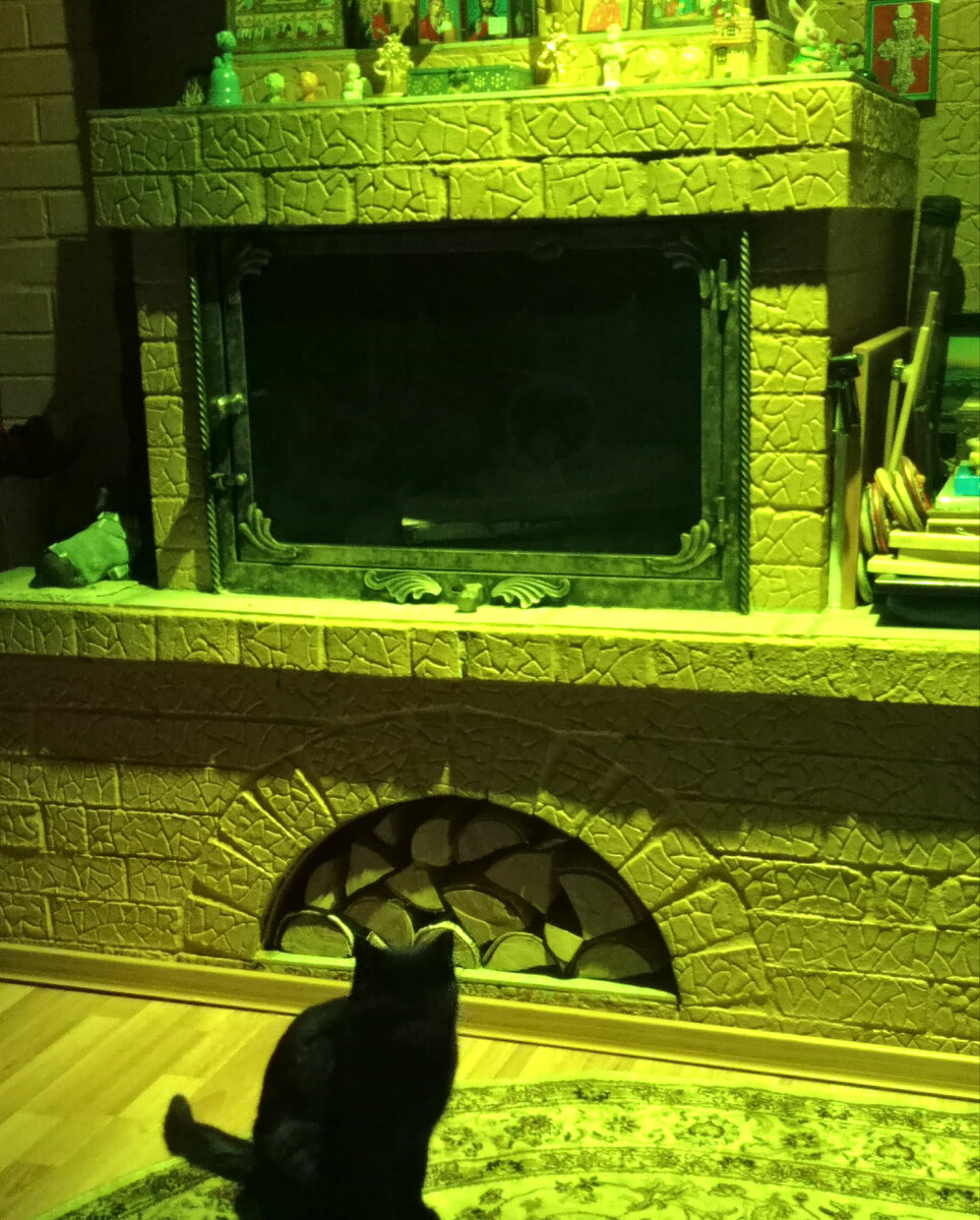 Кошка Ночка