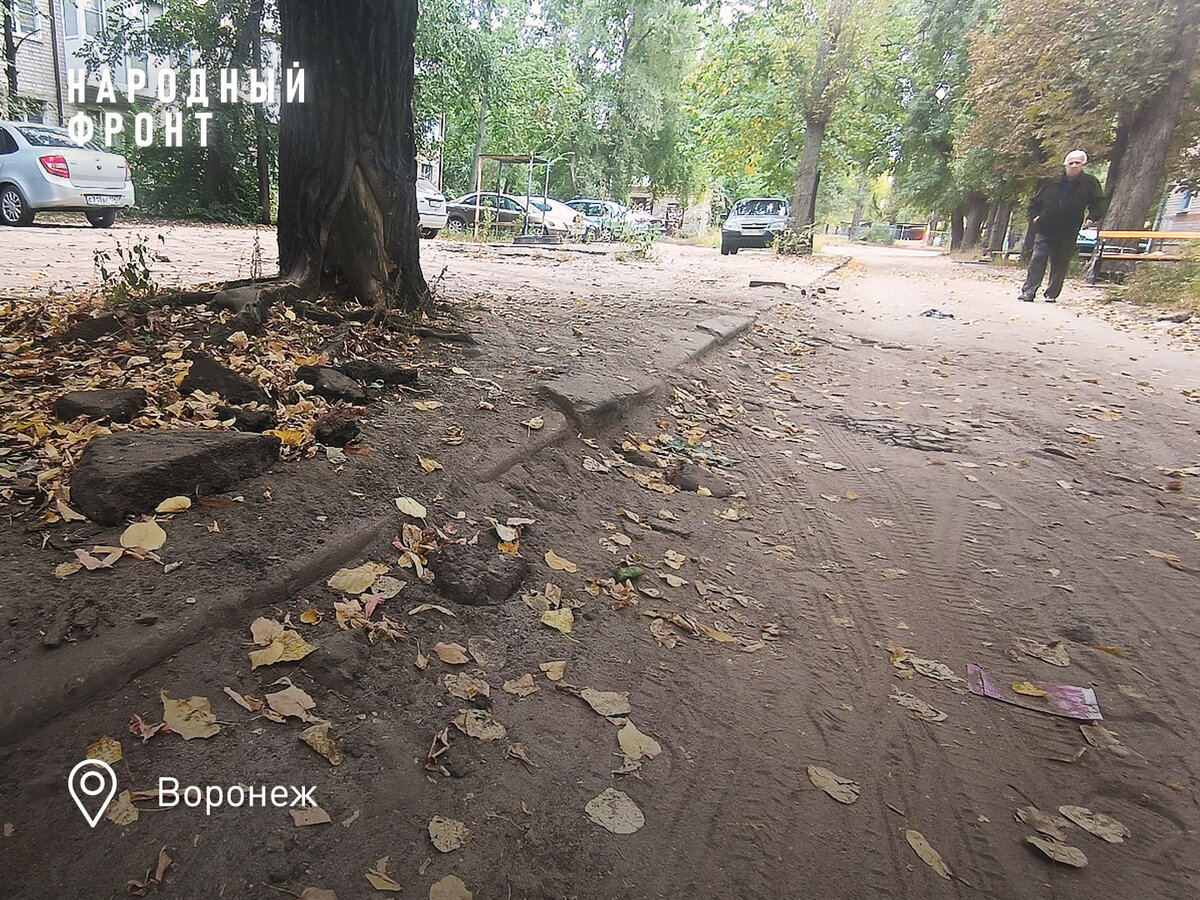 Воронежские дворы необычайно суровы | ОНФ в Воронежской области | Дзен