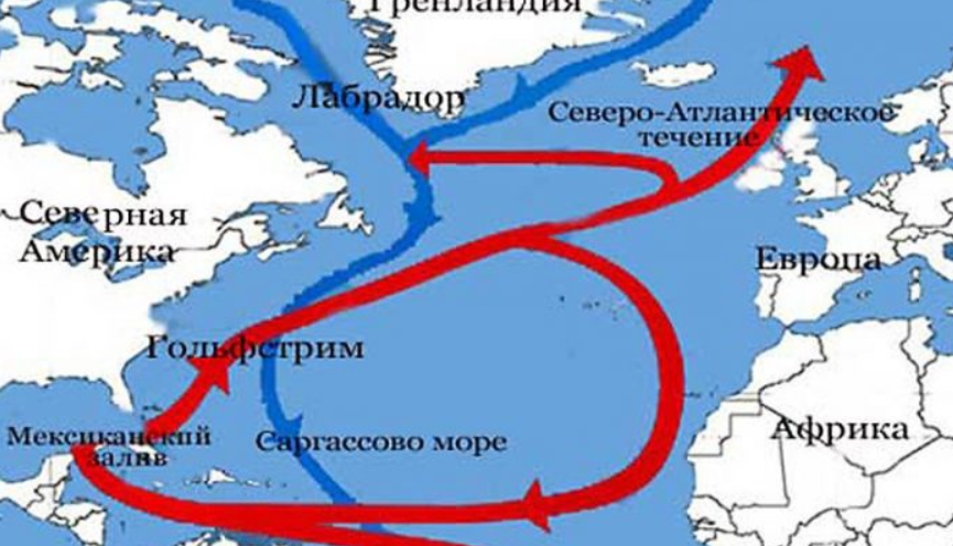 Чем грозит поломка гольфстрима ответ. Гольфстрим и Лабрадорское течение. Гольфстрим течение Северная Америка. Гольфстрим и Северо-атлантическое течение. Тёплое течение Гольфстрим.