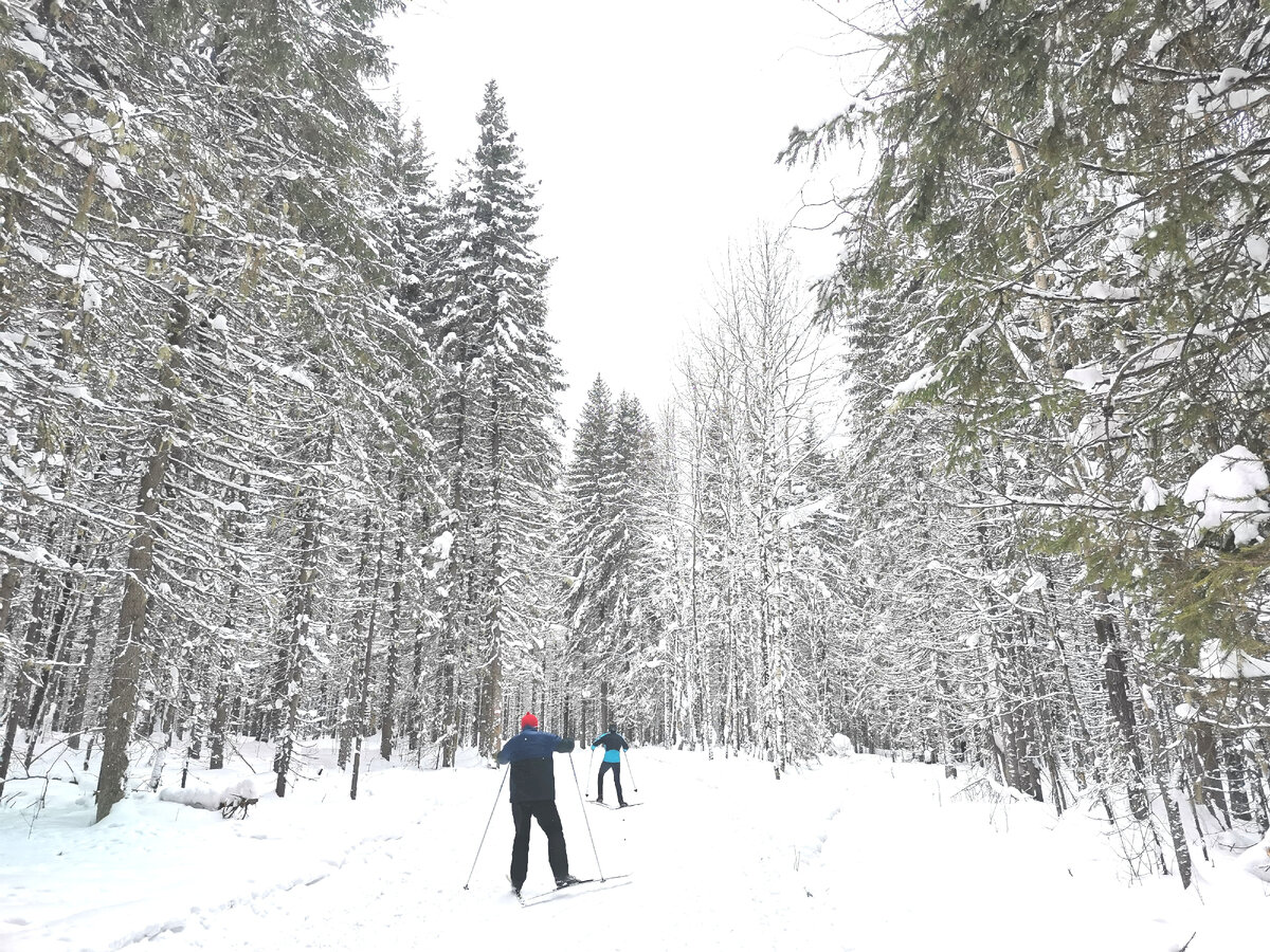 Фото автора