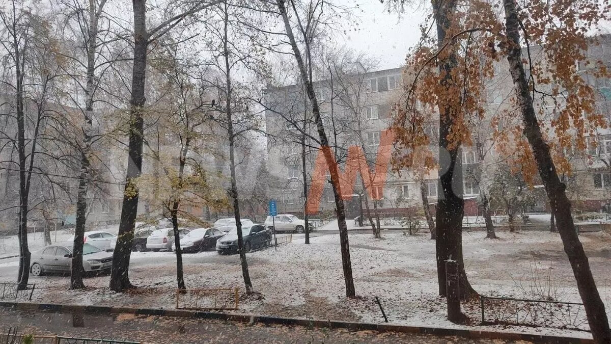     Выпавший сегодня, 17 октября, в Нижегородской области снег растает. В целом погодные условия изменятся уже завтра. Ситуацию в регионе прокомментировала начальник отдела метпрогнозов Гидрометцентра — пресс-секретарь ФГБУ «Верхне-Волжское УГМС» Ольга Мокеева в беседе с NewsNN.