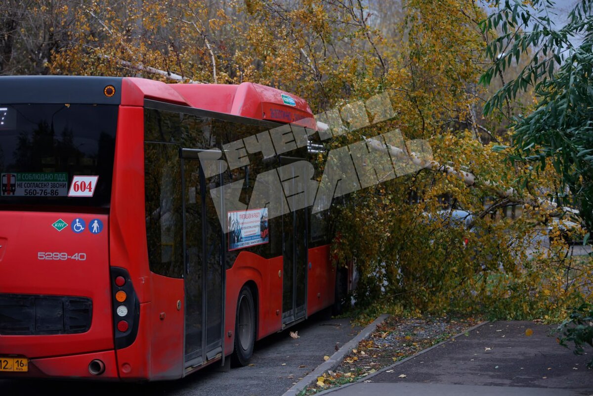 Сильный ветер повалил дерево на автобус в Казани | Вечерняя Казань | Дзен