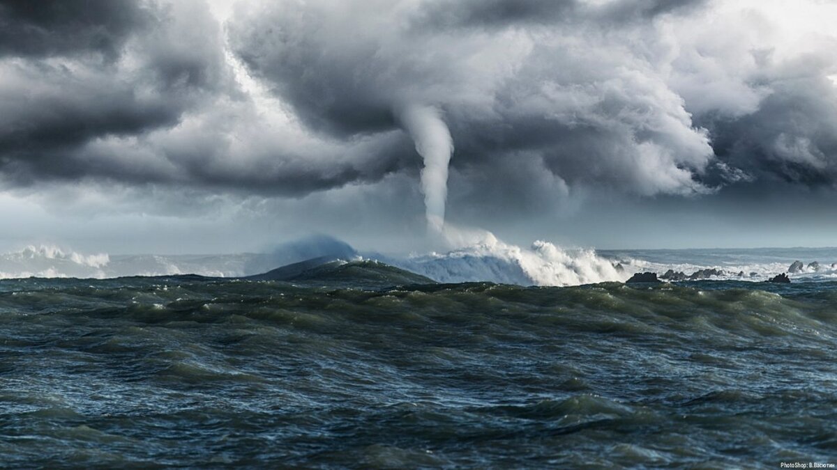 Что происходит с морскими обитателями во время ураганов 🌪️ | Фонд  «Нотайвори» | Дзен