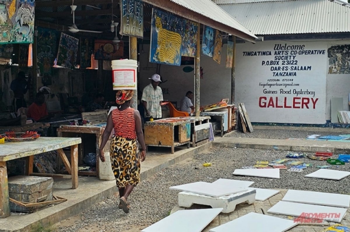    Политолог Слепова: РФ лидирует в сфере борьбы с нищетой в странах Африки