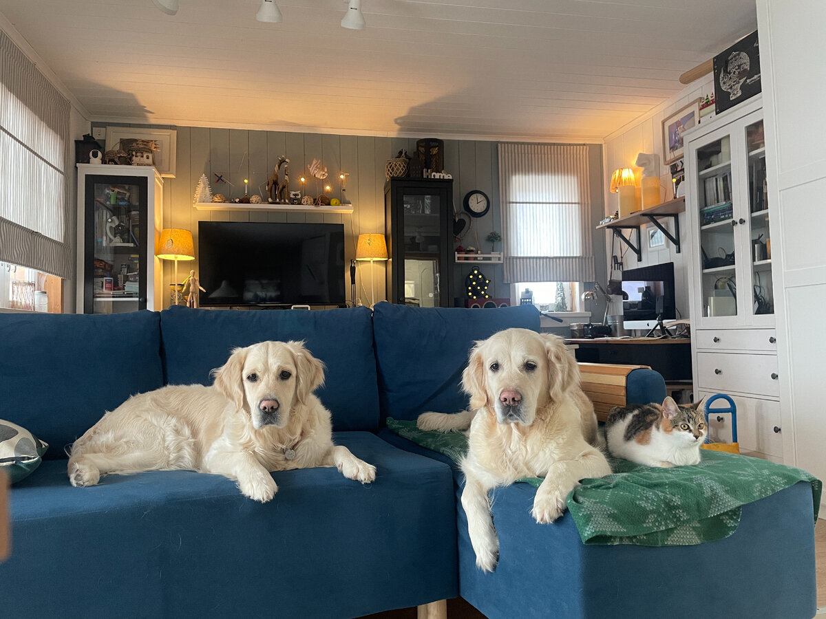 Мия, Руби и Симка