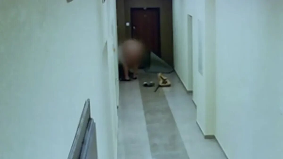 Фото: кадр из видео