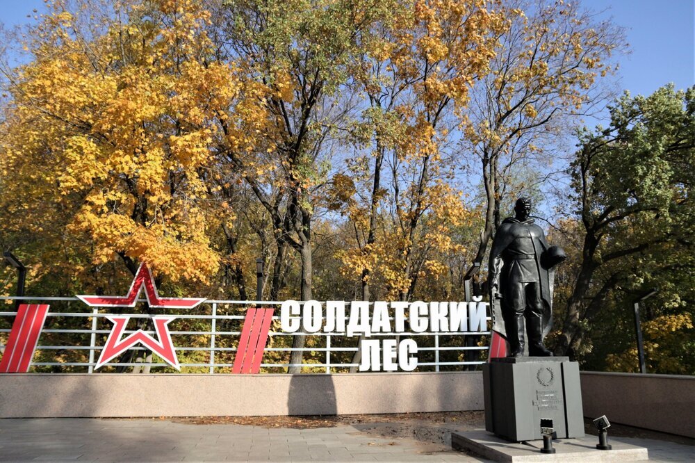 Стела и памятник солдату.