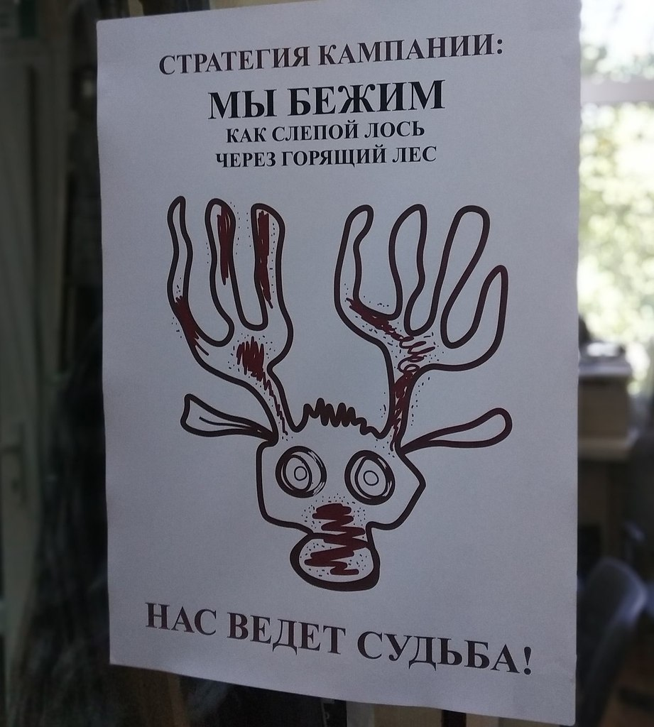 Нас ведет судьба