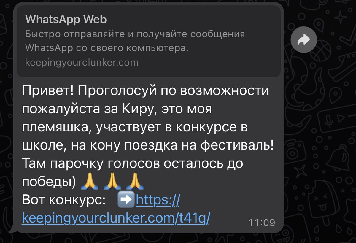 Скрин сообщения, которое я получила