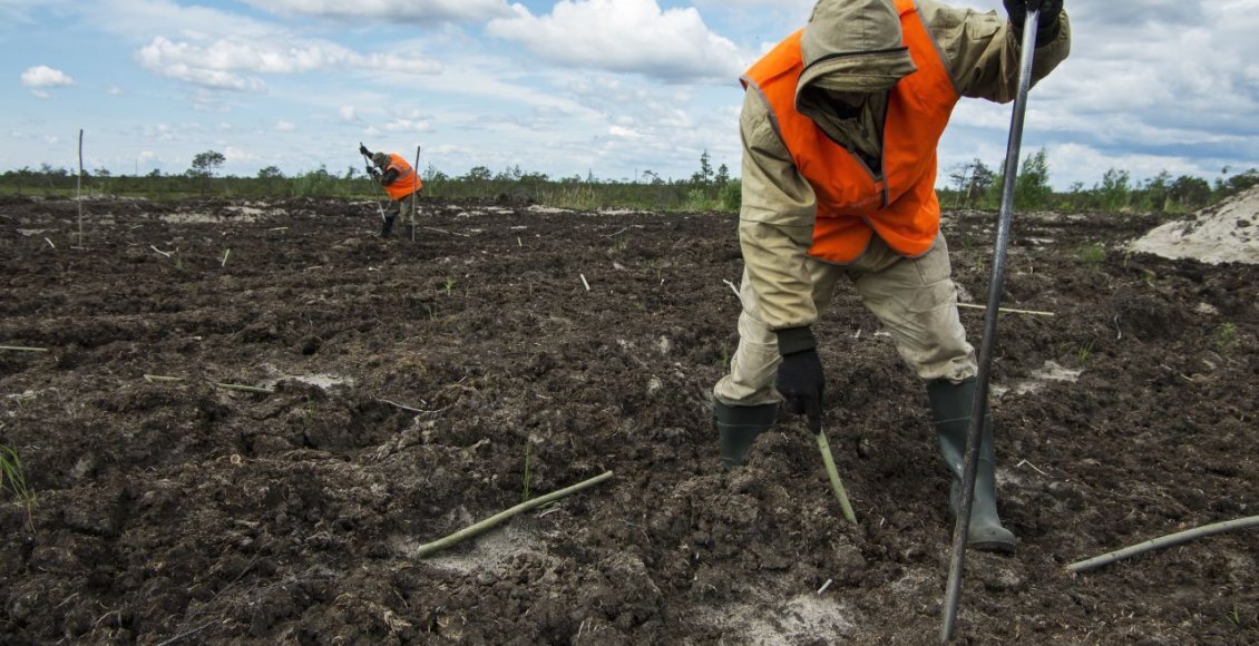    Фото: stroiteh-msk.ru