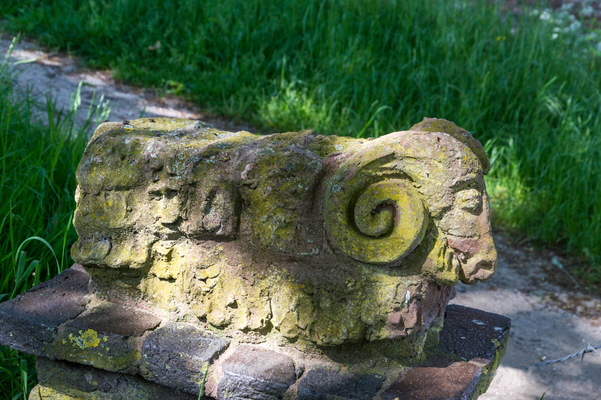 Фото: pxhere.com