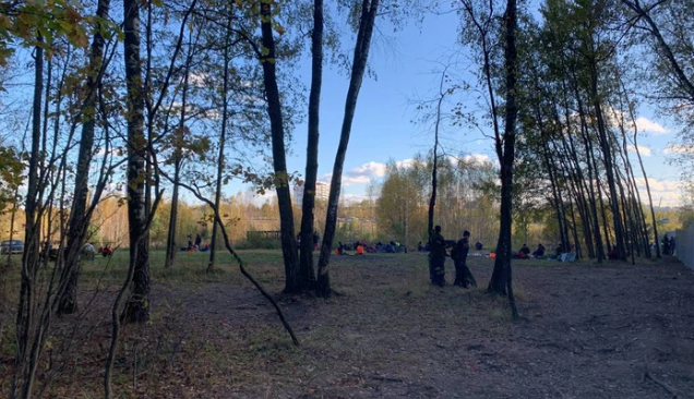 Вырубка началась, слава собяке