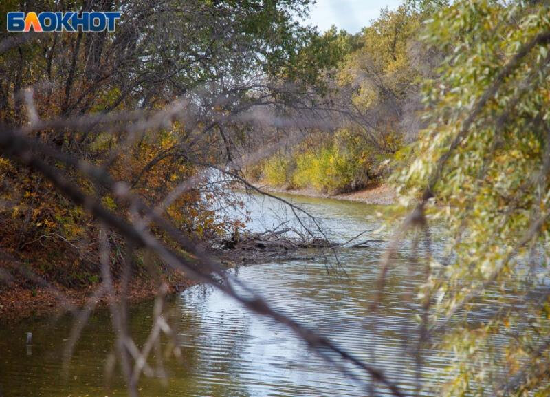 Фото из архива Блокнот Волжский