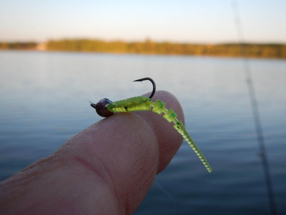 Фото с сайта: https://novikovnn.ru