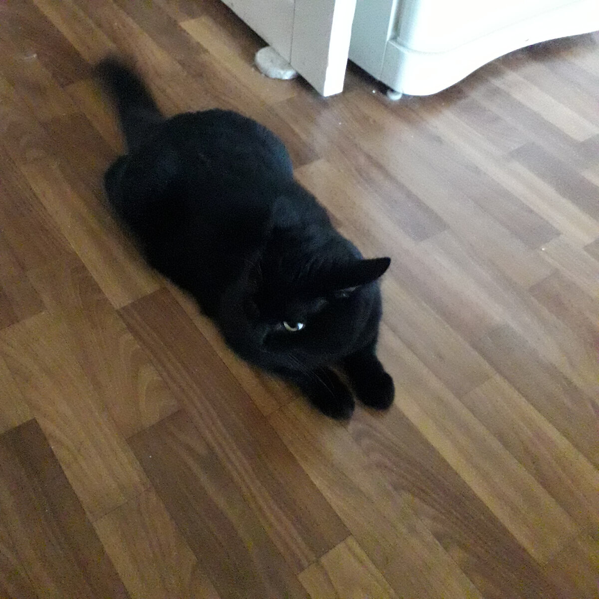 Фото автора. 