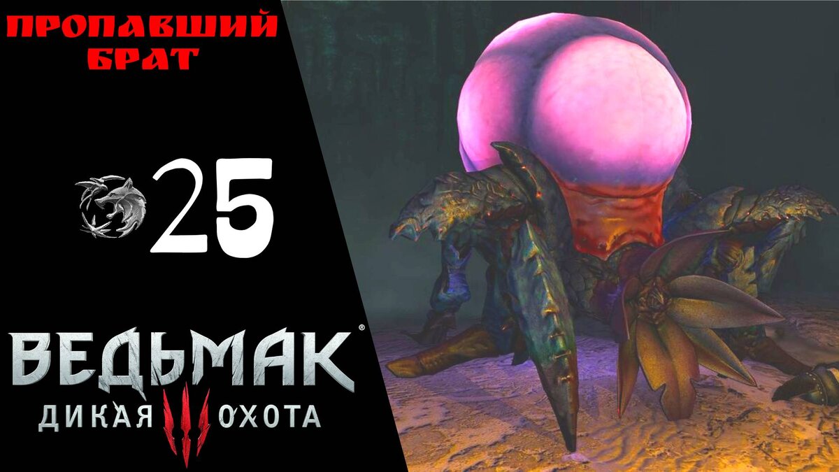 🤜 Прохождение Ведьмак 3 Дикая охота ㉕ Чудище из Доброва, Игры кошек и волков, бери что хочешь