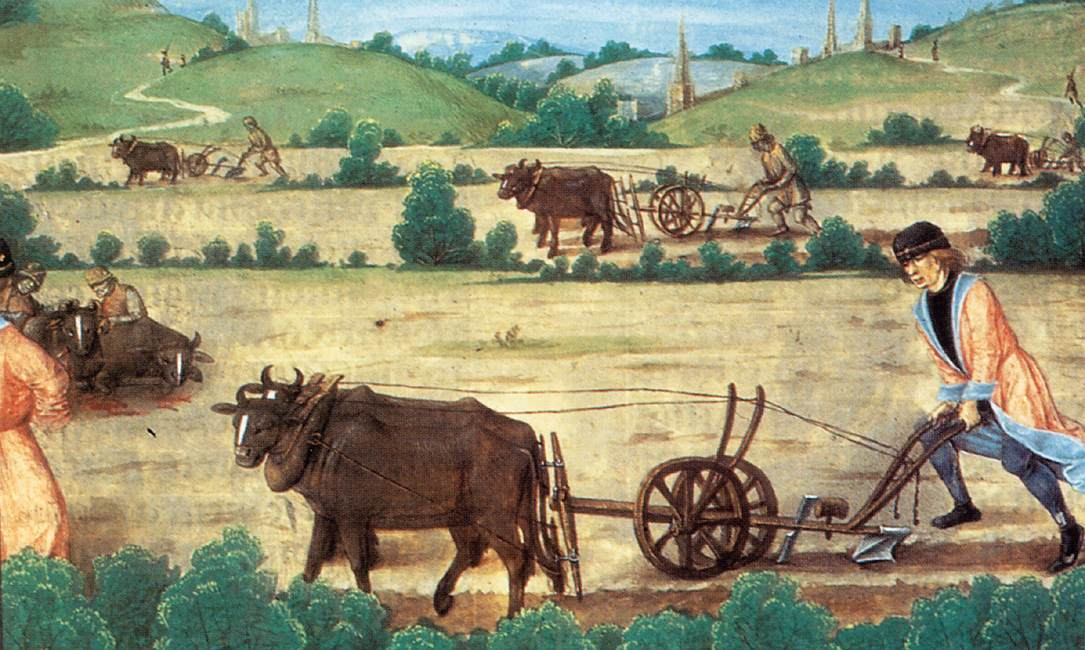 Аграрное хозяйство Англии 18-19 век. Сельское хозяйство Англии в 15-16 ВВ. Западная Европа средневековье сельское хозяйство. Франция 15 век земледелие. Чем занимались люди в те времена