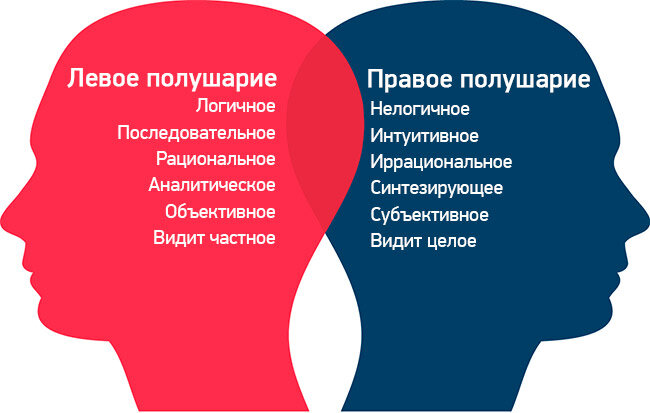 Загадка эволюции: почему большинство людей - правши?