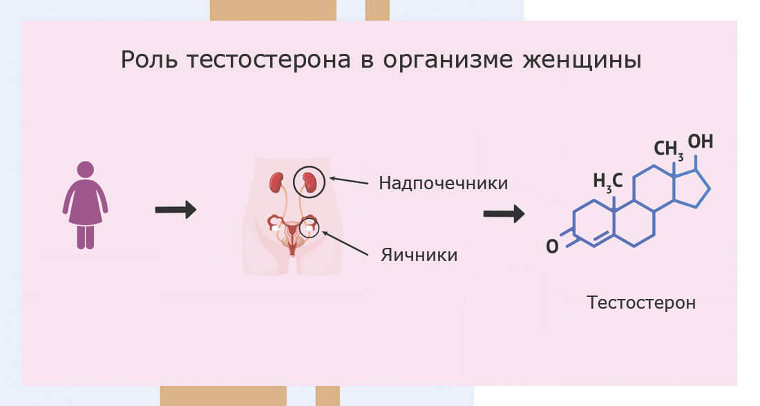 Повышенный тестостерон. Гормон кончи.