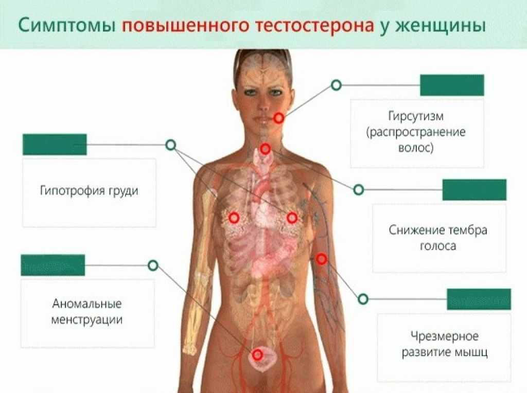 Тестостерон в картинках