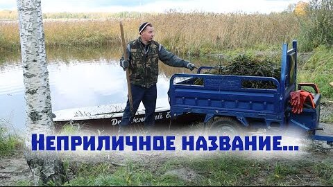 Descargar video: Съездили на плантацию на озеро и собрали урожай телореза на зиму свинкам. Собираем мудорез и запускаем автономную деревенскую прачечную!