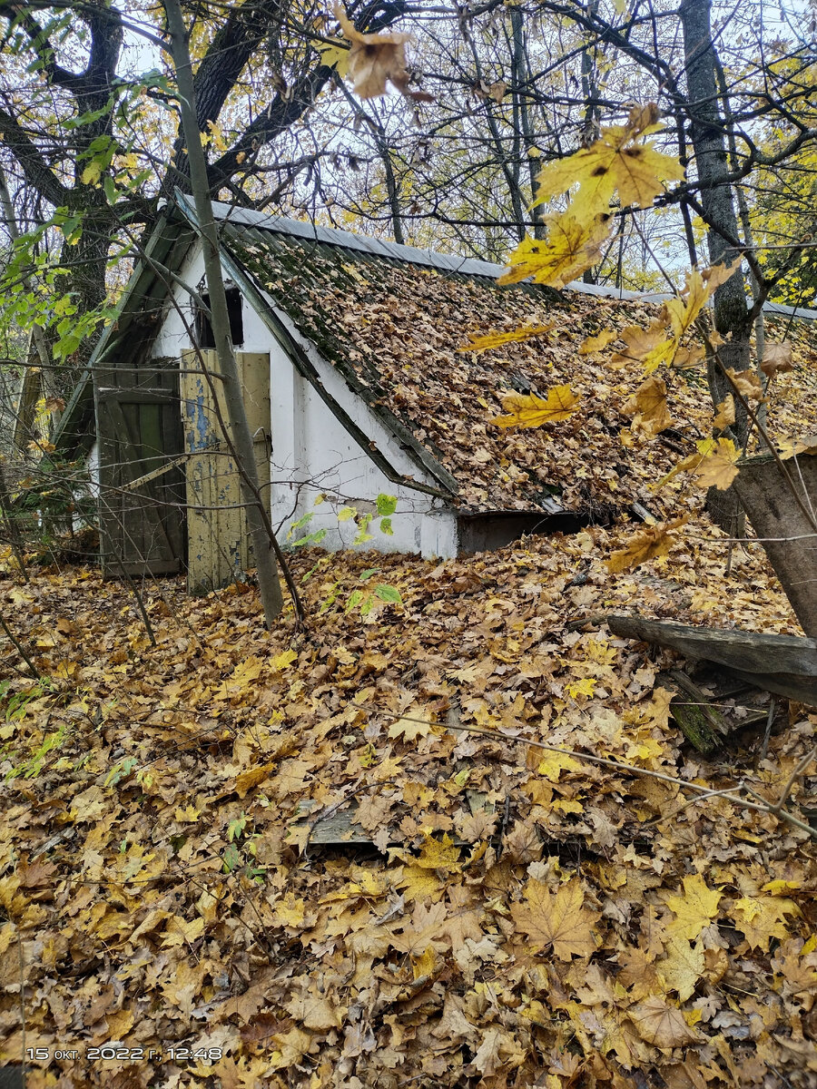 Усадьба Любвино , Московская область, Рузский городской округ, посёлок  Тучково | Заброс выходного дня | Дзен