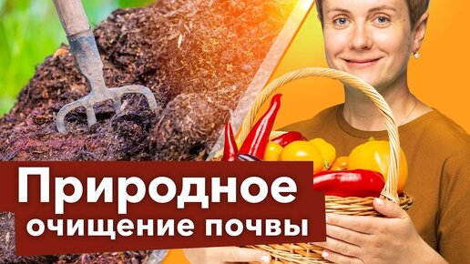 Самый простой способ обеззаразить почву доступен всем!