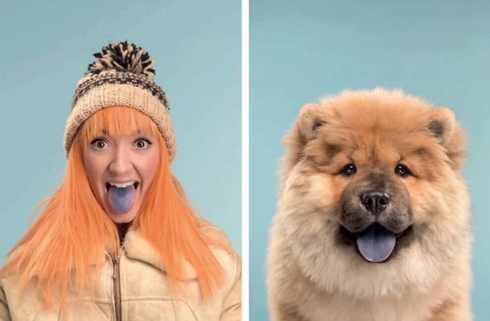    Узнать, какой питомец кому принадлежит, очень просто — это было доказано в ходе научного исследования