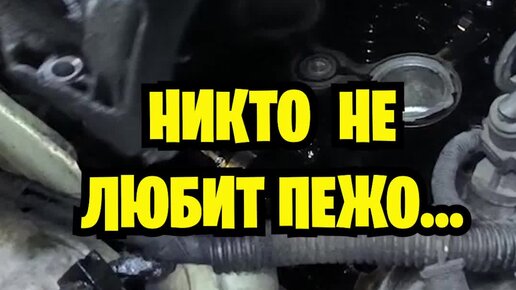 РТС-сервис: ремонт Пежо, Ситроен, Мини | Никто не любит пежо...НО! | Дзен