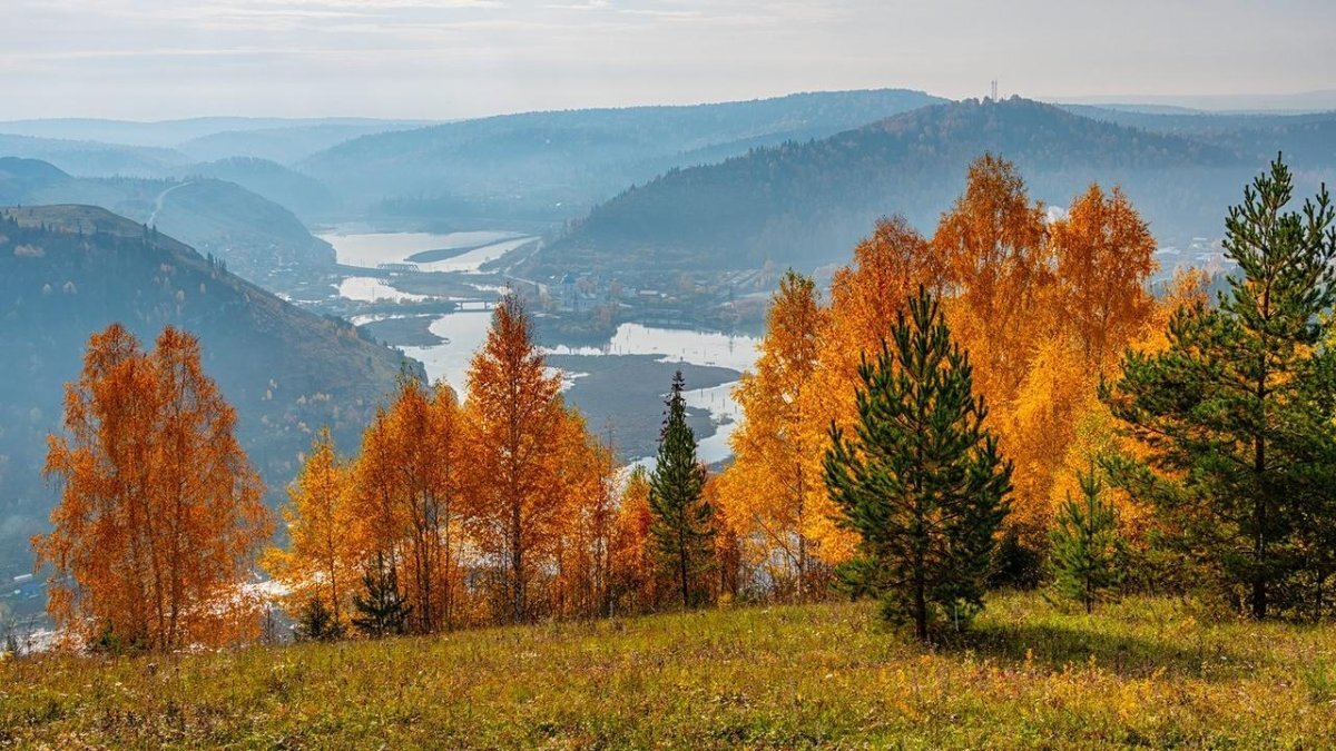 Лес горы осень панорама