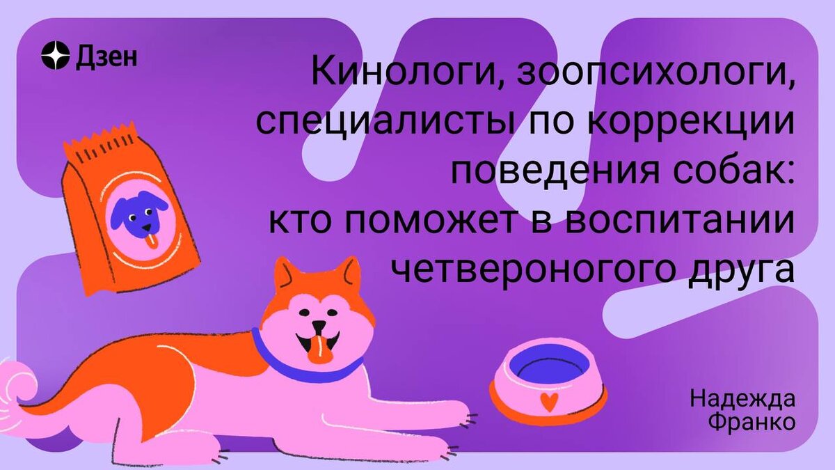 Кинологи, зоопсихологи, специалисты по коррекции поведения собак: кто  поможет в воспитании четвероногого друга | Собакин город | Дзен