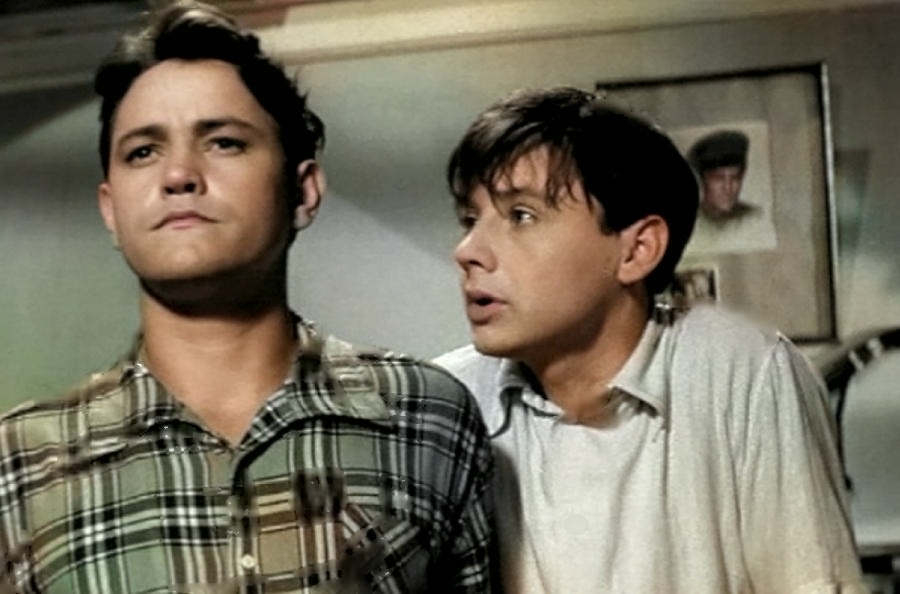 владимир земляникин дом в котором я живу. шумный день отзывы. олег табаков шумный день. шумный день фильм 1960. олег табаков шумный день.