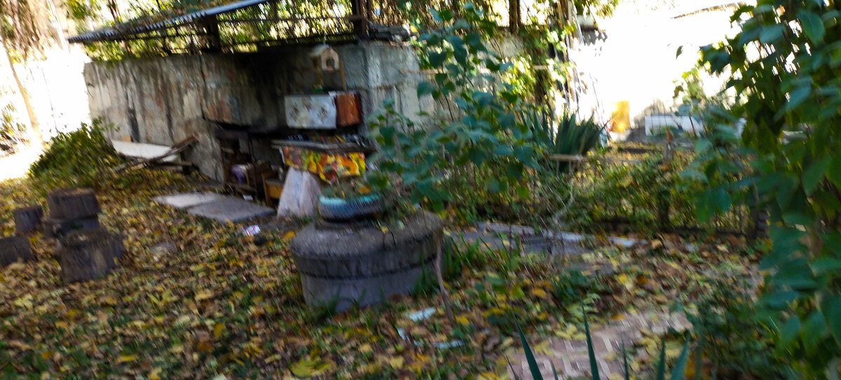 Фото автора канала