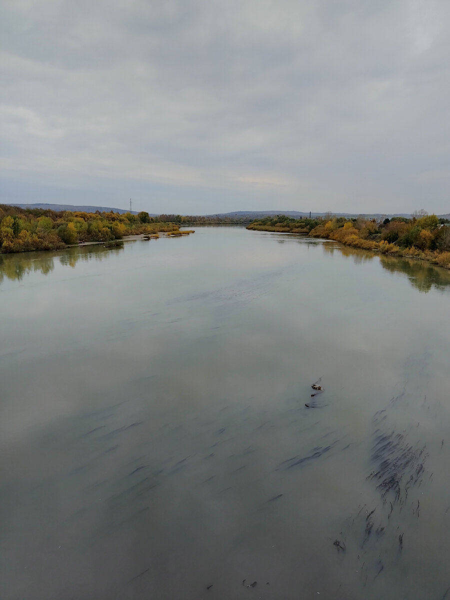 Фото автора. Река Кондома. 