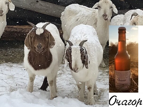 А эта парочка    оказалась хитрее  , они   сбросили детишек   осенью.